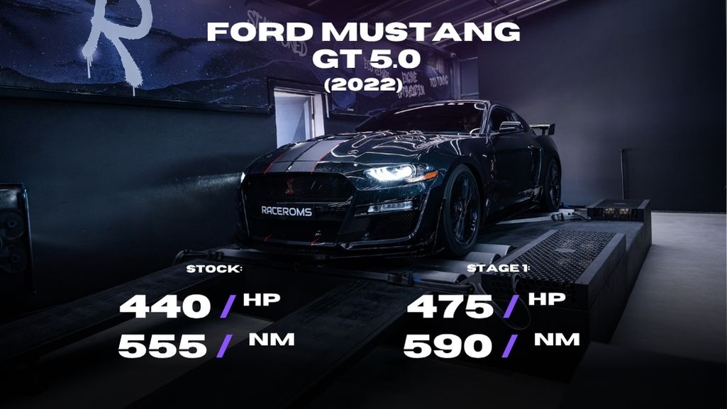 Ford Mustang GT 5.0 V8 (2020 - 2023) 440
